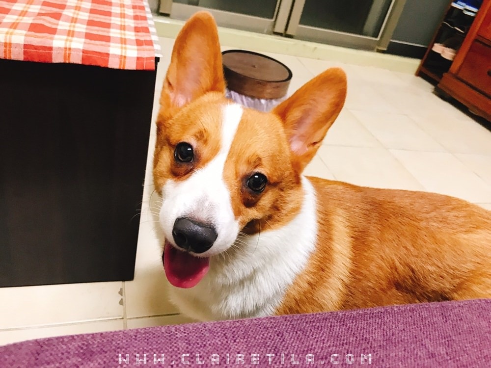 20251024-cmwwt 20251024-cmwwt