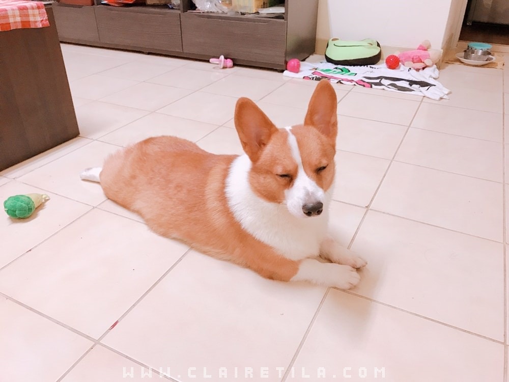 20251024-cxrv2 20251024-cxrv2