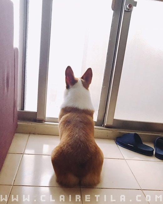 20251024-dkp1h 20251024-dkp1h