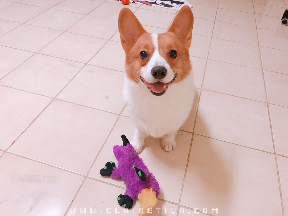 20251024-dls1k 20251024-dls1k