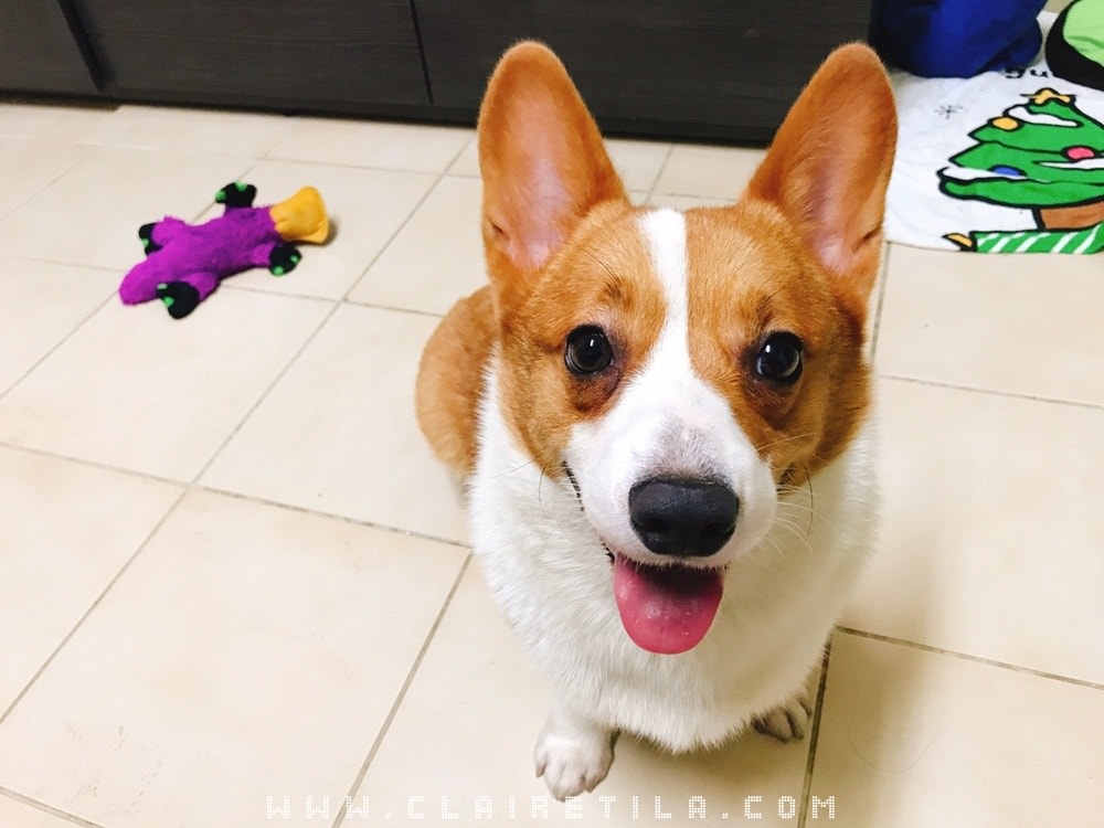 20251024-dpemp 20251024-dpemp