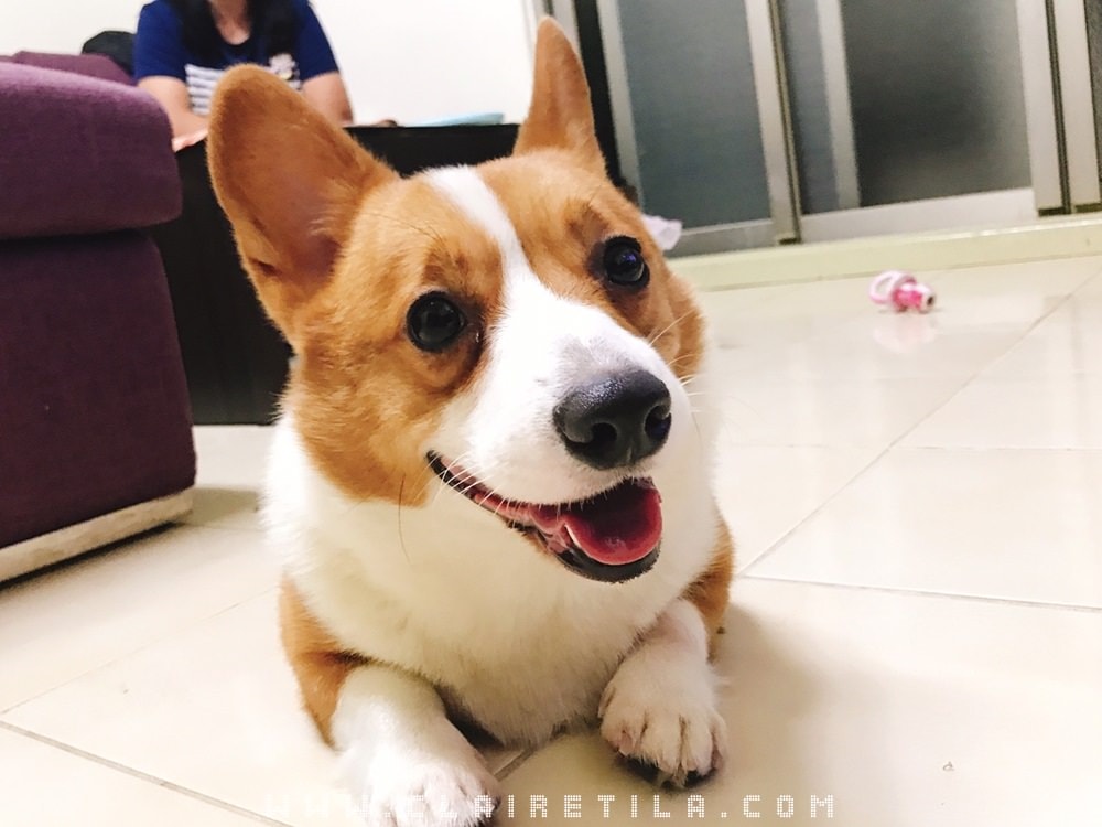 20251024-g9k3h 20251024-g9k3h