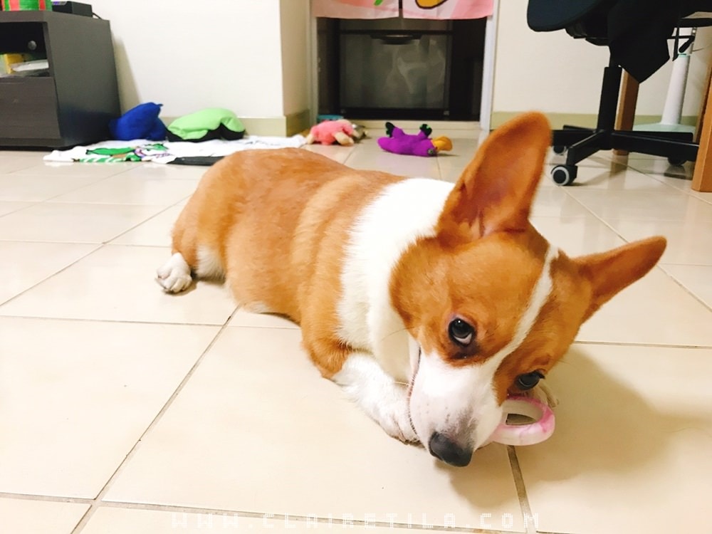 20251024-himqs 20251024-himqs