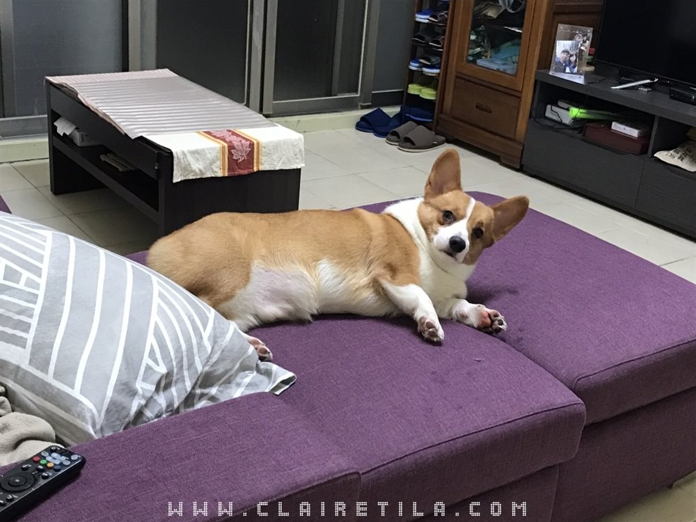 20251024-hvbnt 20251024-hvbnt