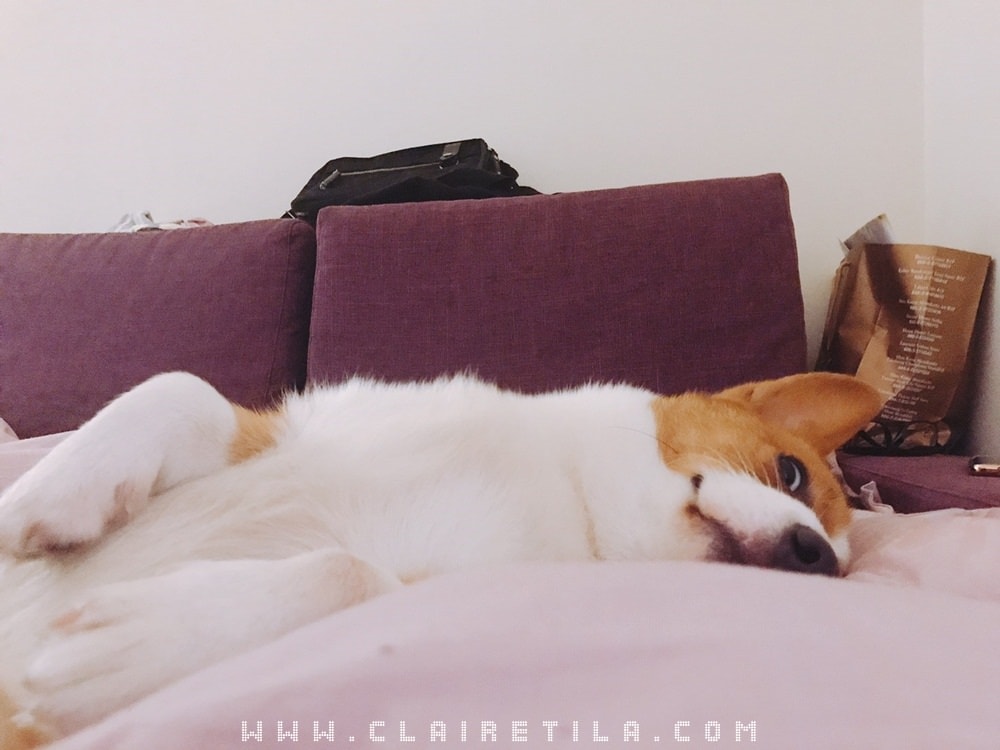 20251024-ic8wa 20251024-ic8wa