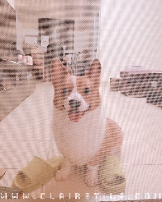 20251024-it9gj 20251024-it9gj