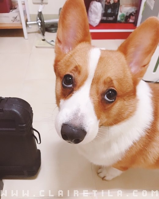 20251024-j41iv 20251024-j41iv