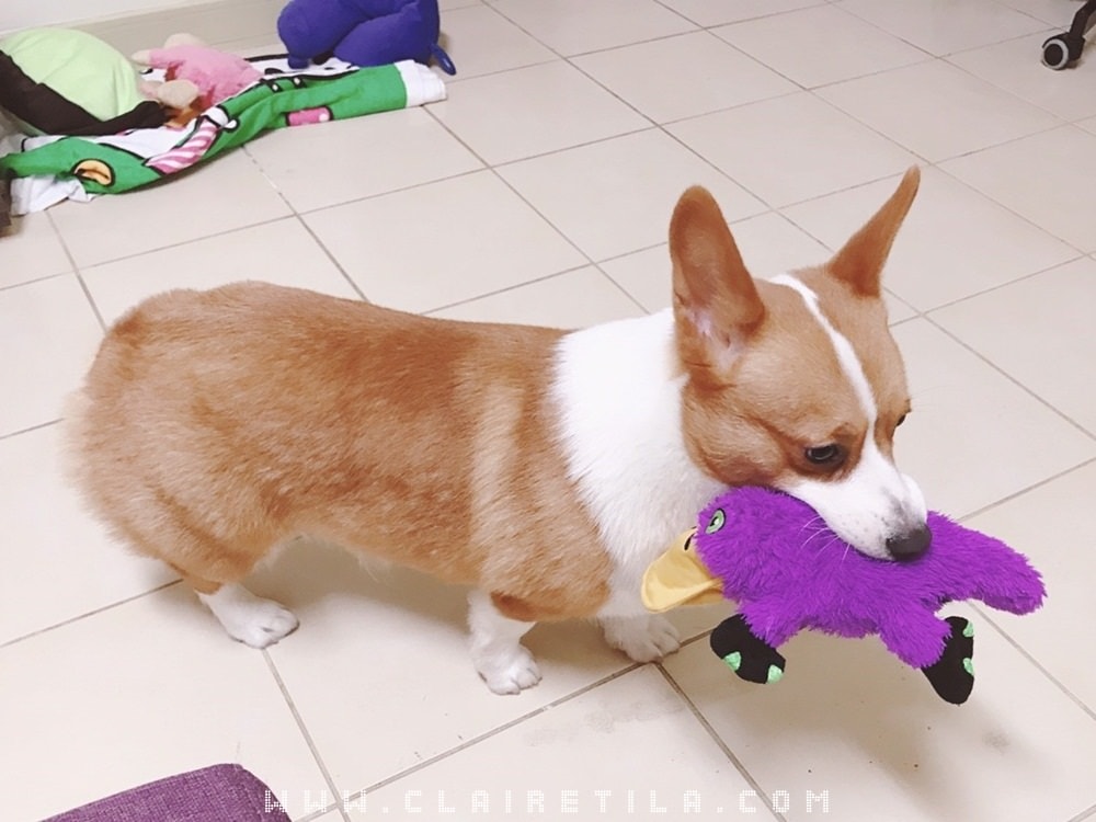 20251024-jt5yy 20251024-jt5yy