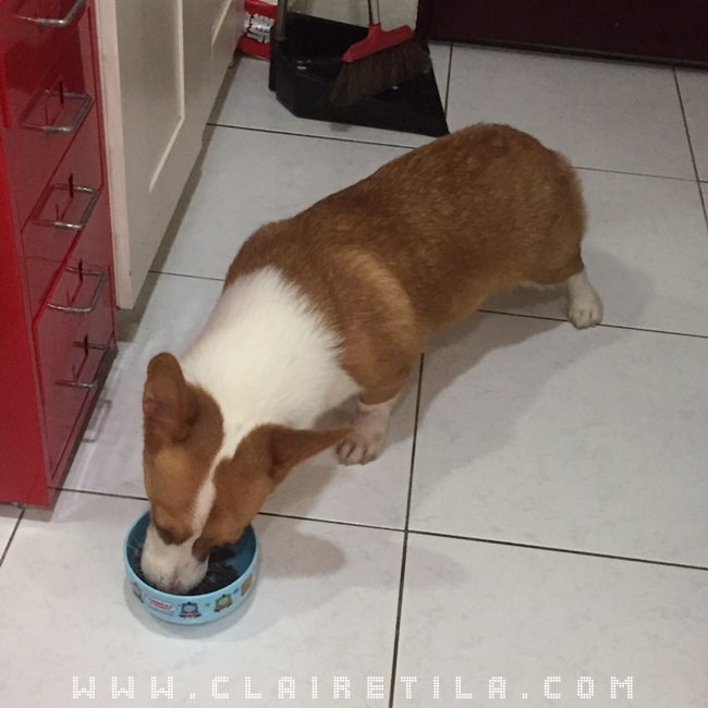 20251024-k00cv 20251024-k00cv