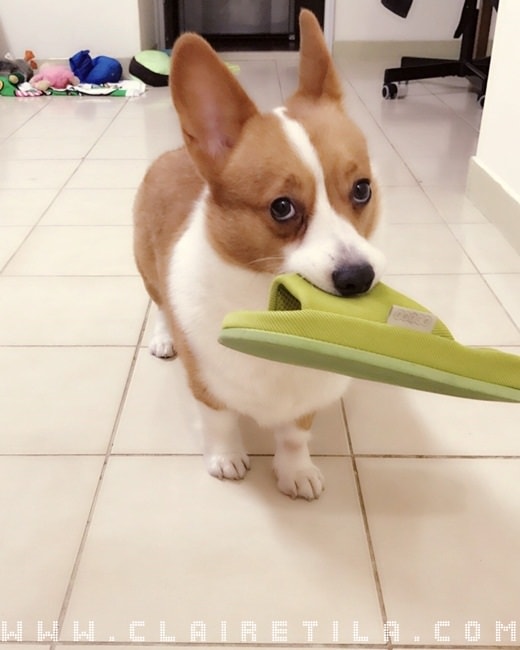 20251024-k4l0s 20251024-k4l0s