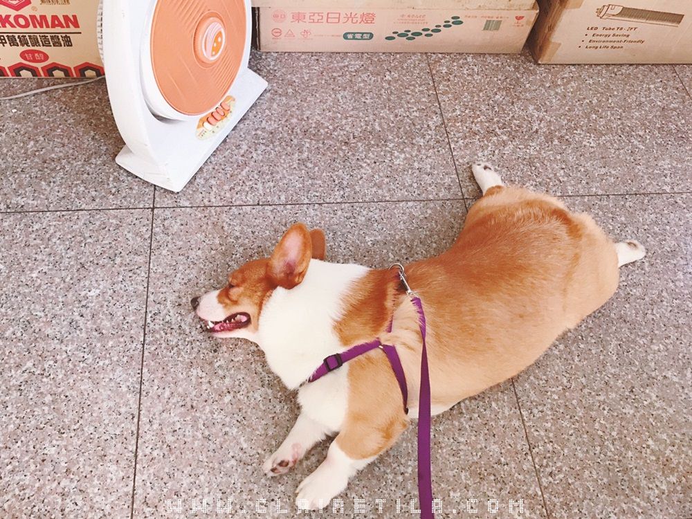 20251024-kh5cl 20251024-kh5cl