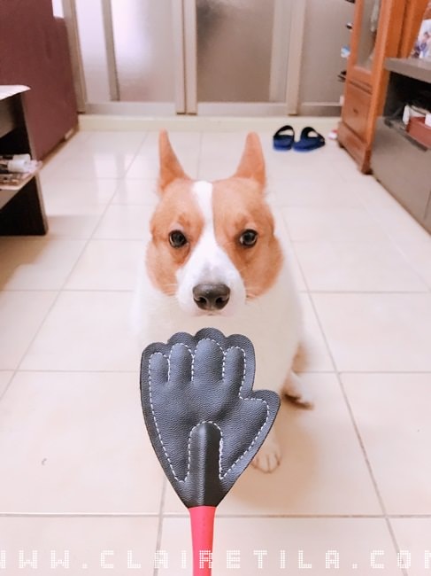 20251024-mqlml 20251024-mqlml