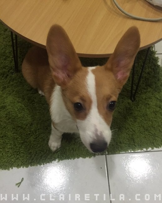 20251024-npzs2 20251024-npzs2