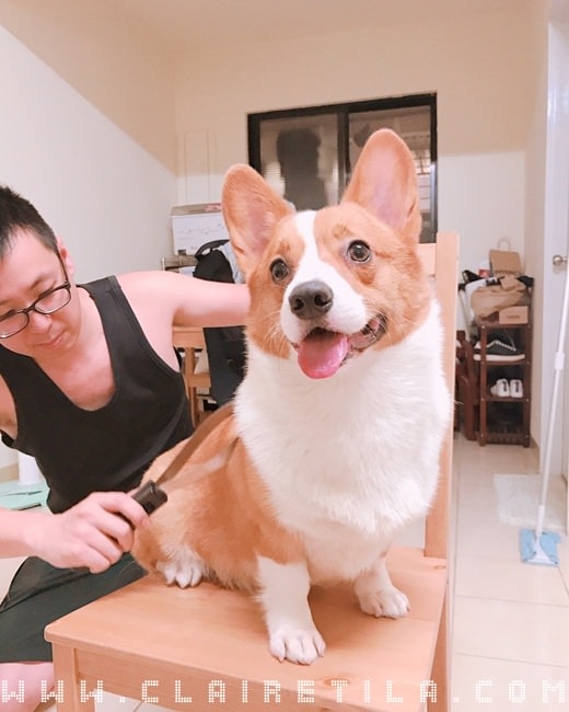 20251024-nzzph 20251024-nzzph