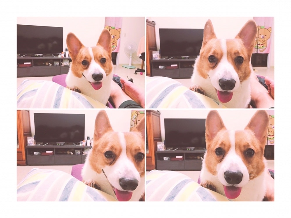 20251024-ony4m 20251024-ony4m