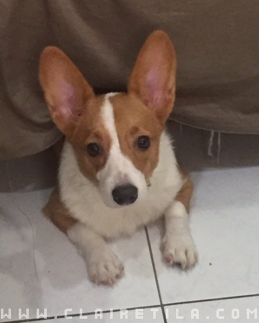 20251024-opb5b 20251024-opb5b