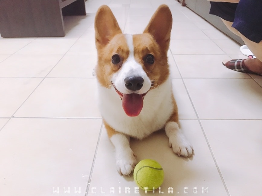 20251024-p0mmy 20251024-p0mmy