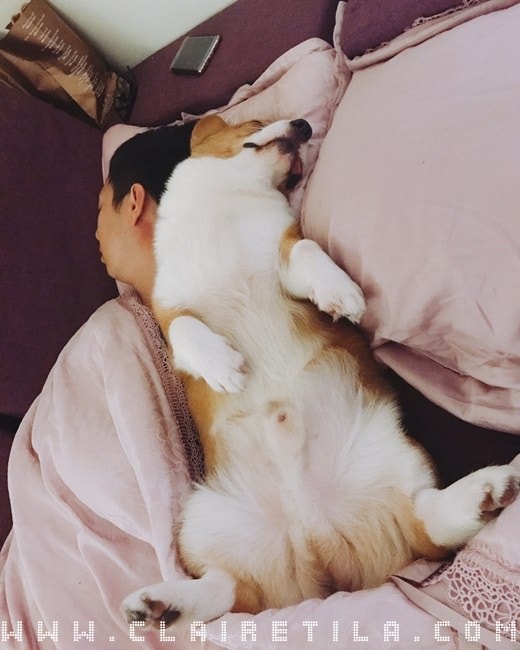 20251024-p4n5s 20251024-p4n5s