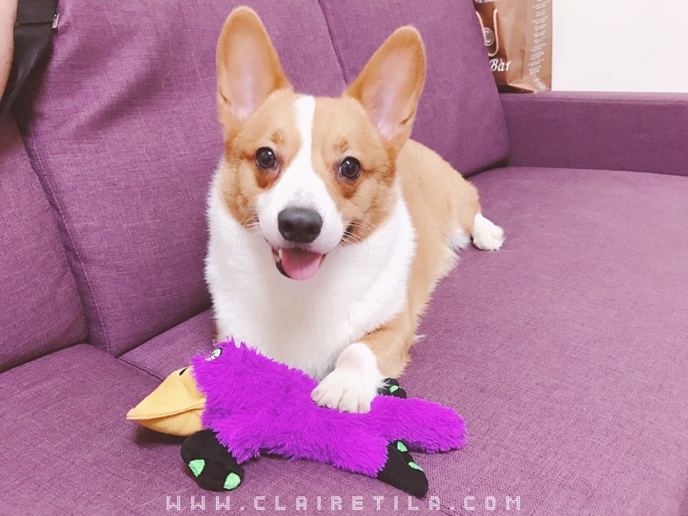 20251024-pd41z 20251024-pd41z