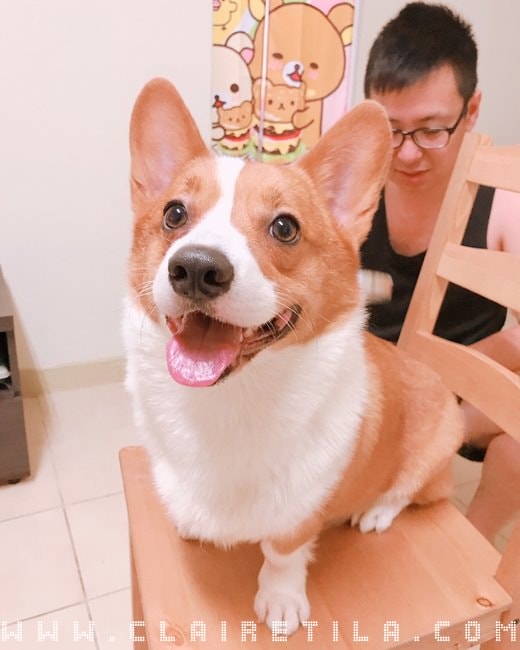 20251024-pda72 20251024-pda72