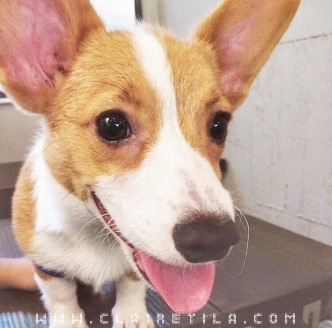 20251024-pz9f3 20251024-pz9f3