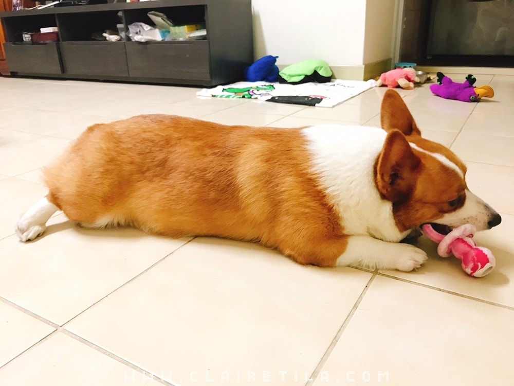 20251024-qikzj 20251024-qikzj