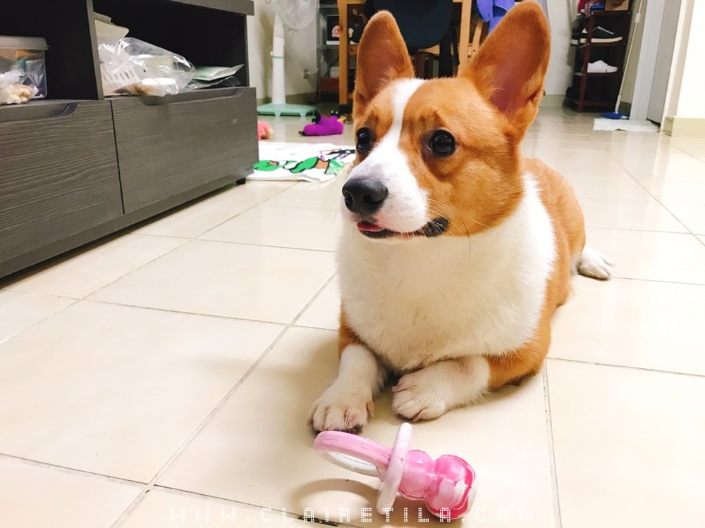 20251024-qtcg3 20251024-qtcg3