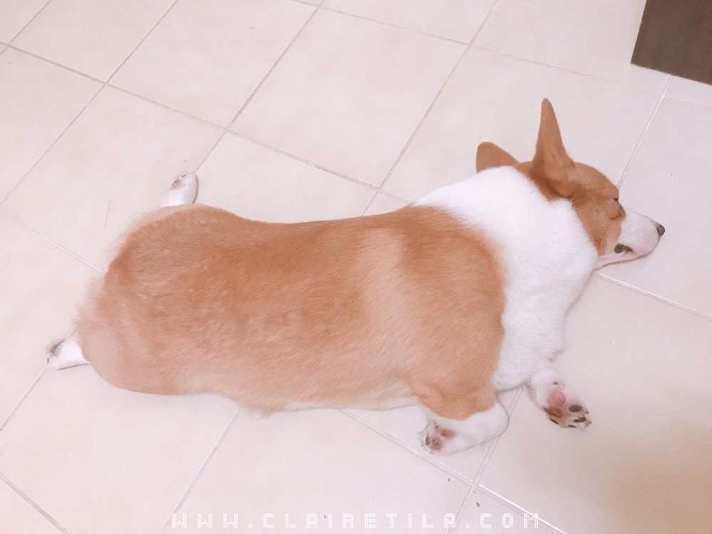 20251024-qzq10 20251024-qzq10