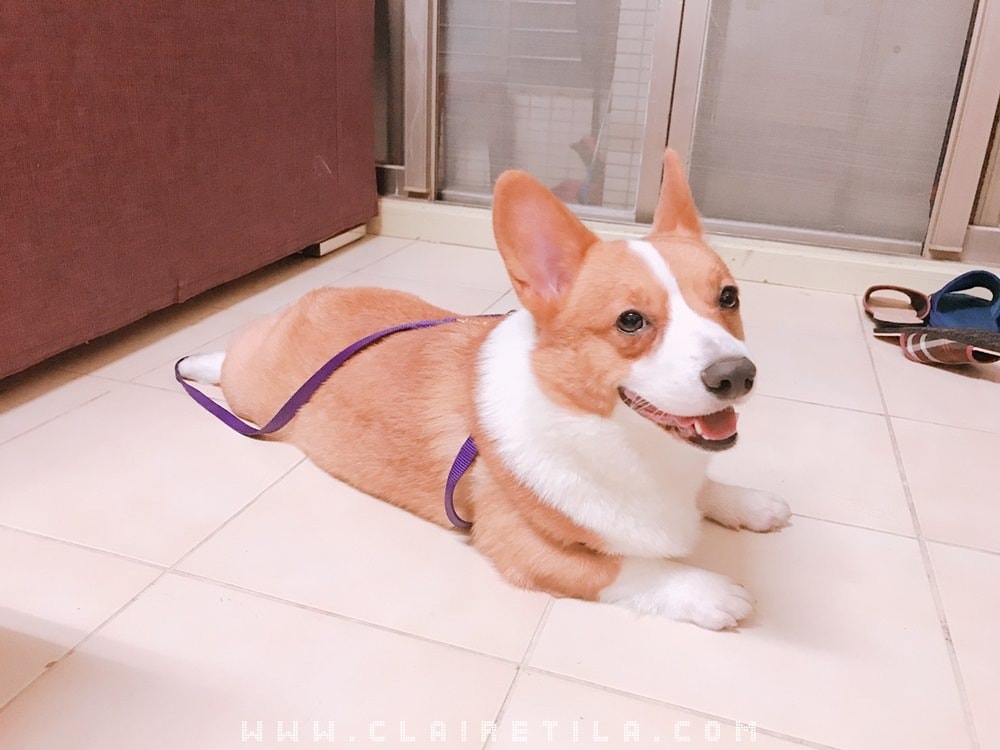 20251024-rxz6d 20251024-rxz6d