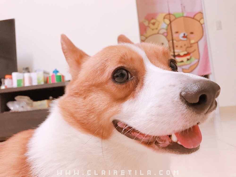 20251024-s4lo8 20251024-s4lo8