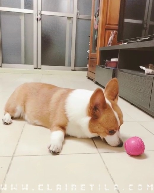 20251024-uajiq 20251024-uajiq