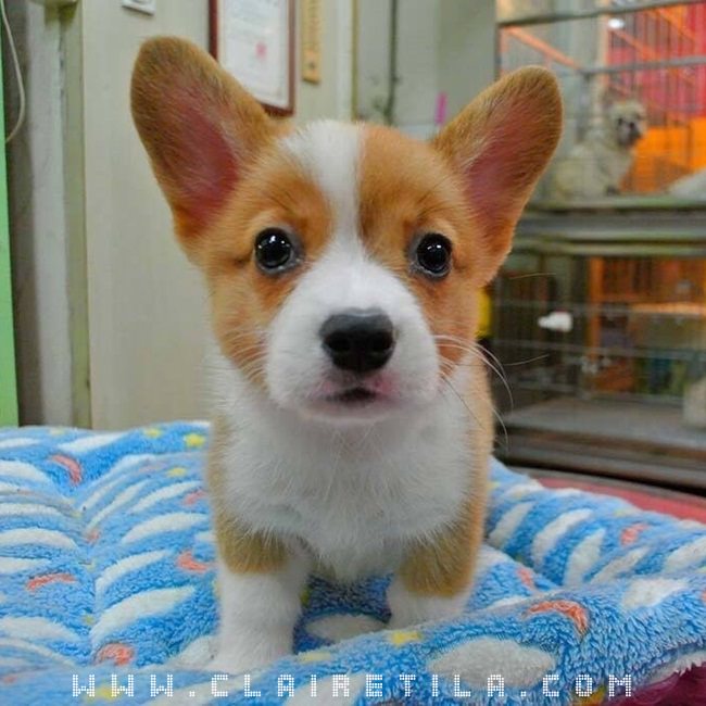 20251024-ufi0o 20251024-ufi0o