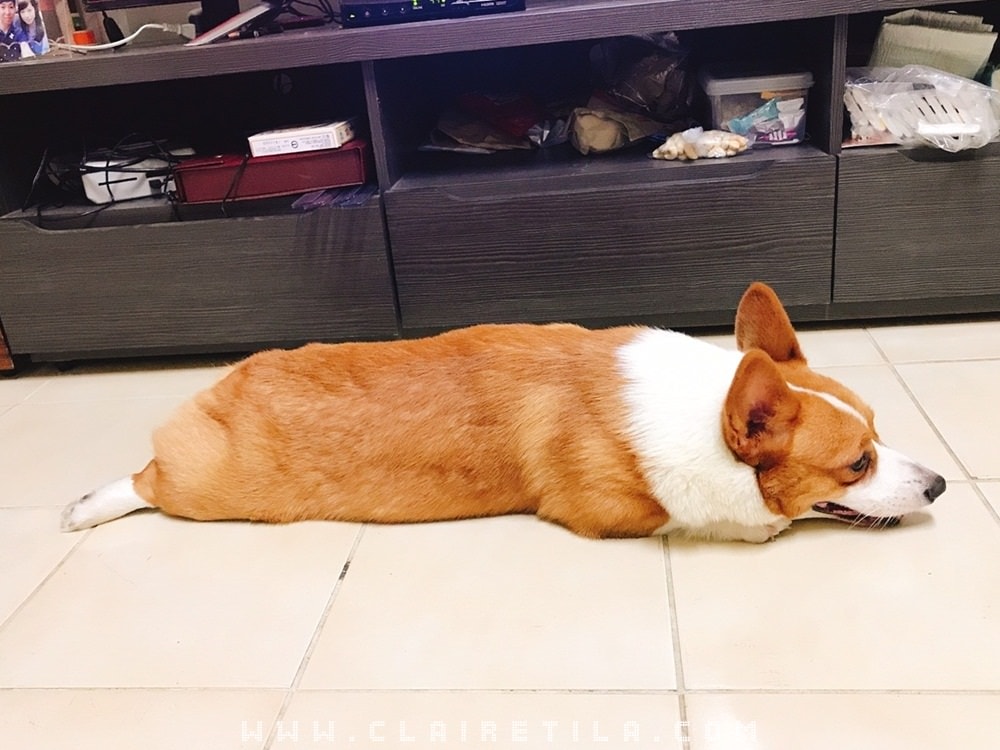 20251024-urtvd 20251024-urtvd