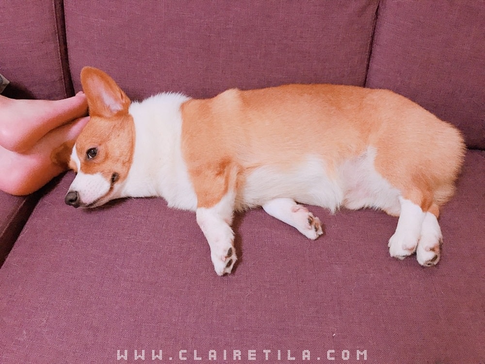 20251024-wyfcl 20251024-wyfcl