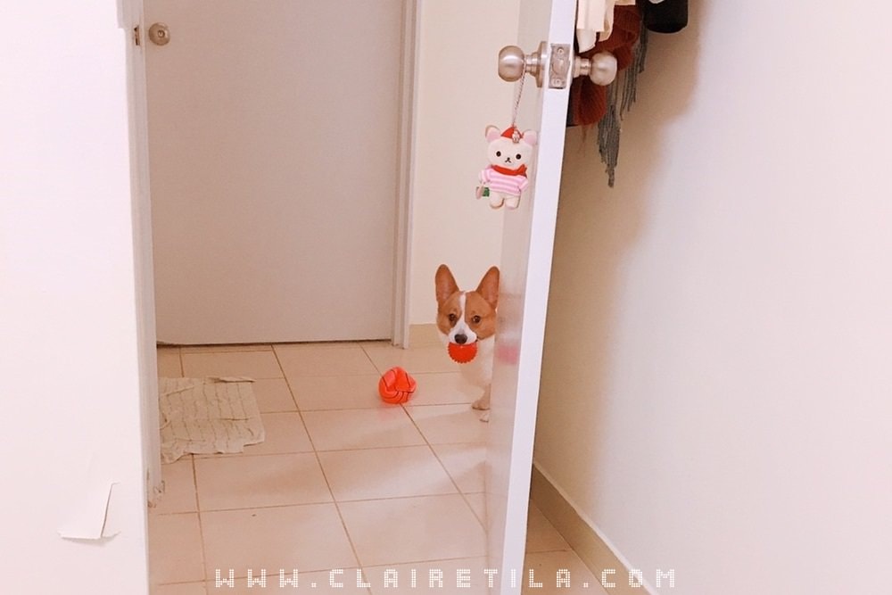 20251024-x9sri 20251024-x9sri