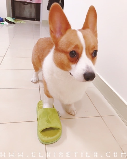 20251024-y3t7w 20251024-y3t7w