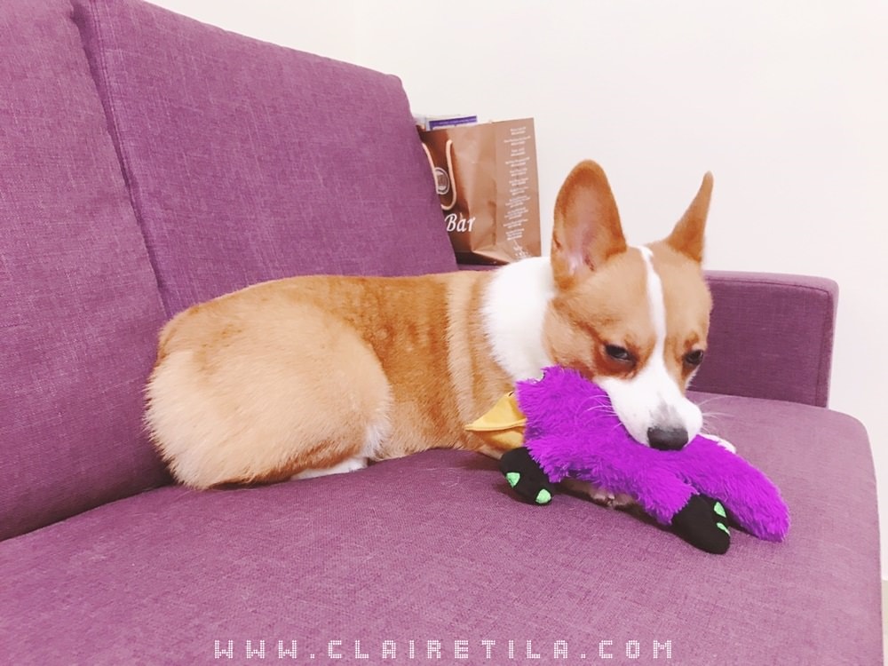 20251024-zevcs 20251024-zevcs