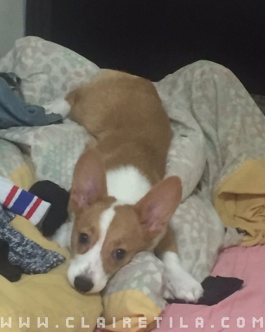 20251024-zhdel 20251024-zhdel