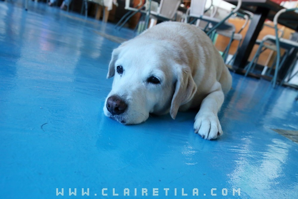 20251024-1vllj 20251024-1vllj