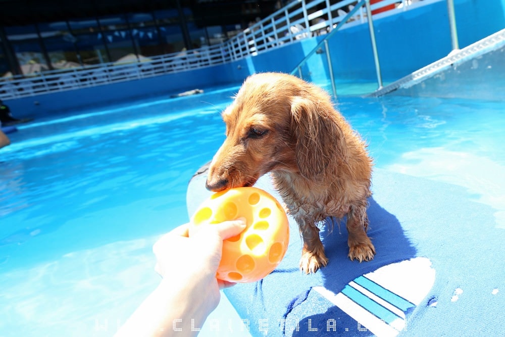 20251024-2zjwx 20251024-2zjwx