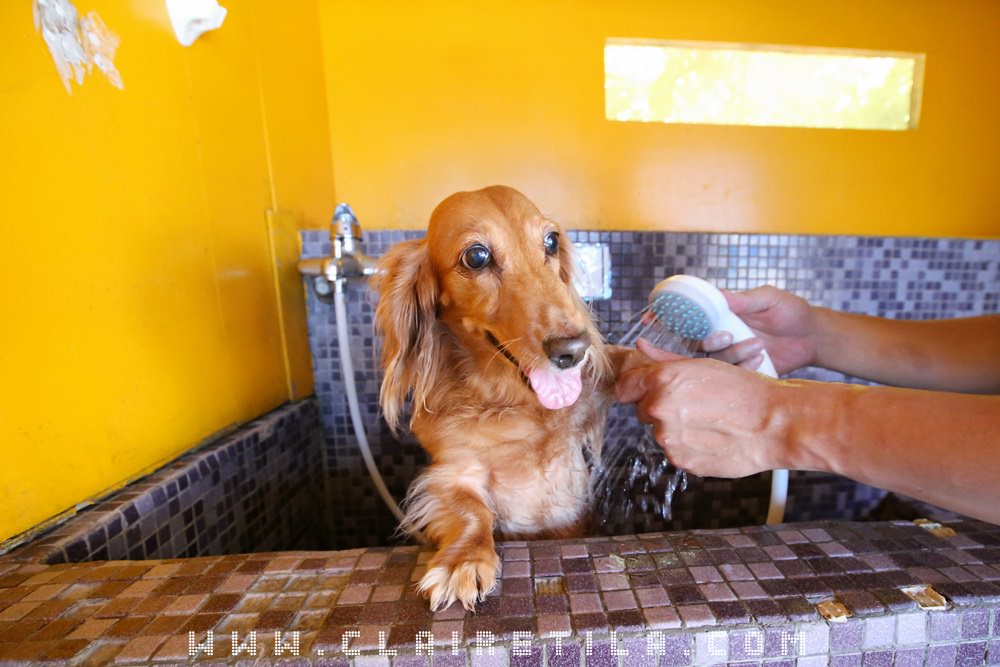 20251024-3bh53 20251024-3bh53