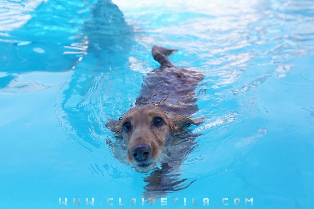 20251024-3s7gk 20251024-3s7gk