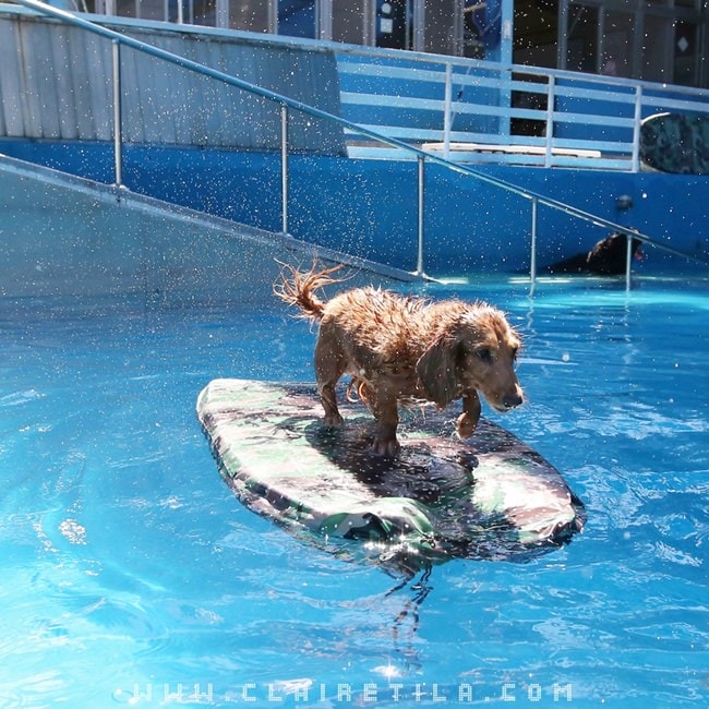 20251024-fikpu 20251024-fikpu