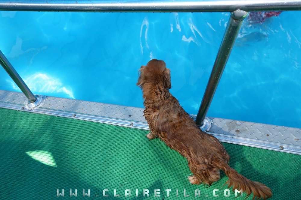 20251024-fknfp 20251024-fknfp