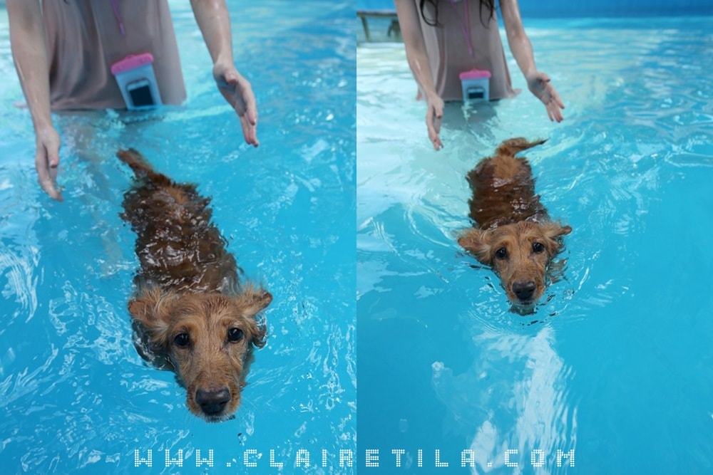 20251024-fmycg 20251024-fmycg