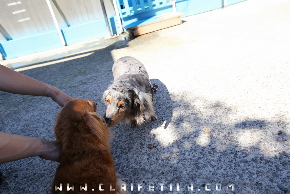 20251024-v7nsf 20251024-v7nsf