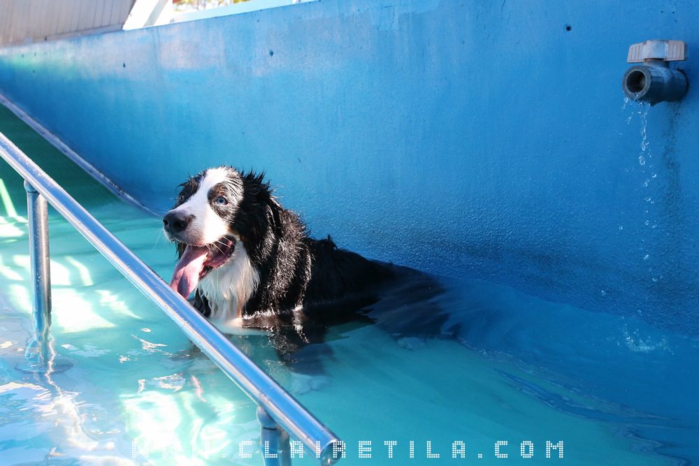 20251024-vd0qn 20251024-vd0qn