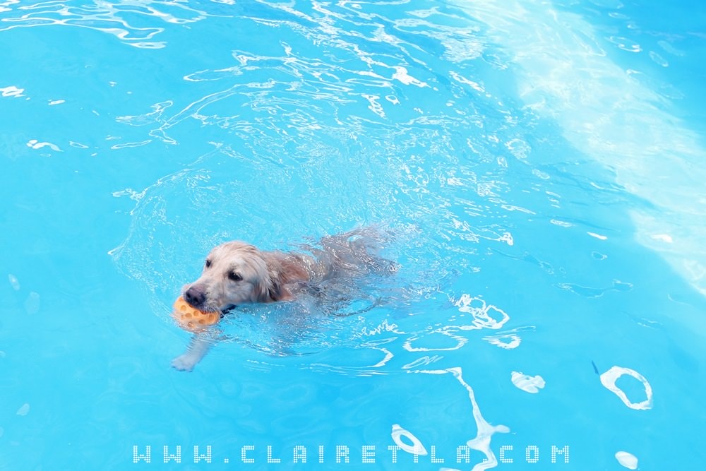 20251024-xfi9n 20251024-xfi9n