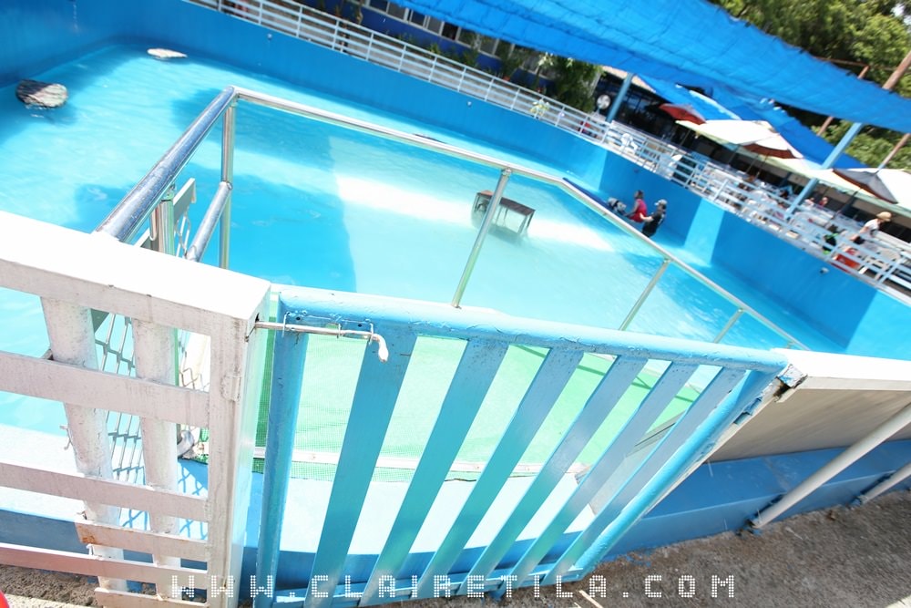 20251024-y1l5v 20251024-y1l5v