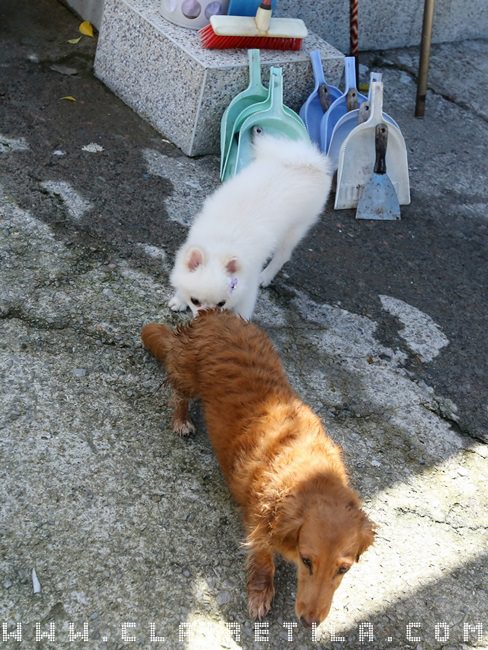 20251024-yfoie 20251024-yfoie